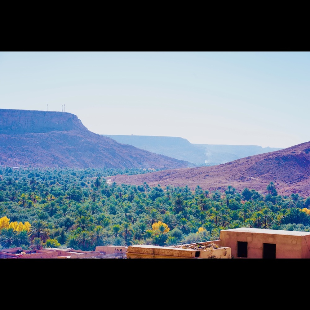 Meet your Posher, Safah